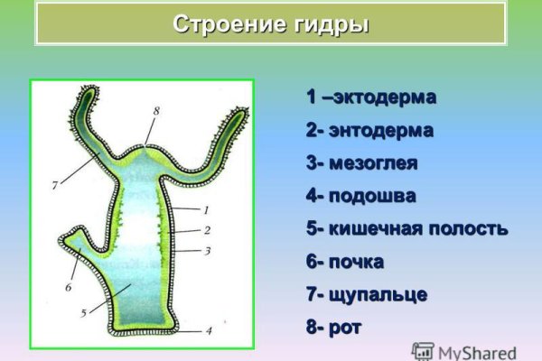 Кракен сайт kr2web in официальный ссылка