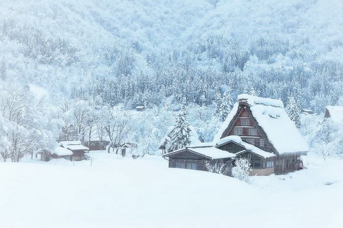 Кракен наркоторговля